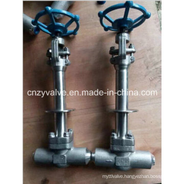 Avc Cryogenic Lcb Gate Valve and Forged Steel Gate Valve